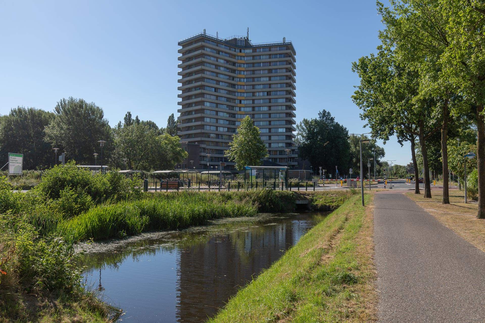 Afbeelding 2 van 10