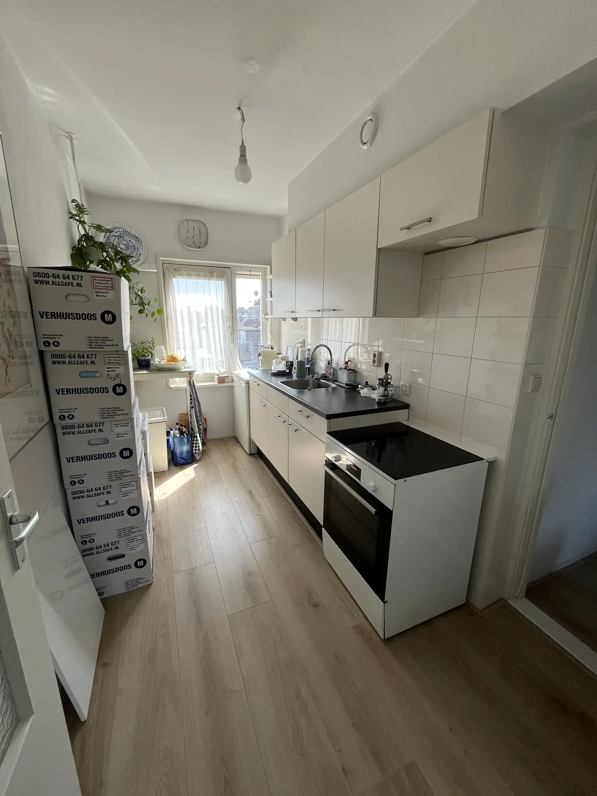 Bild 6 von 11