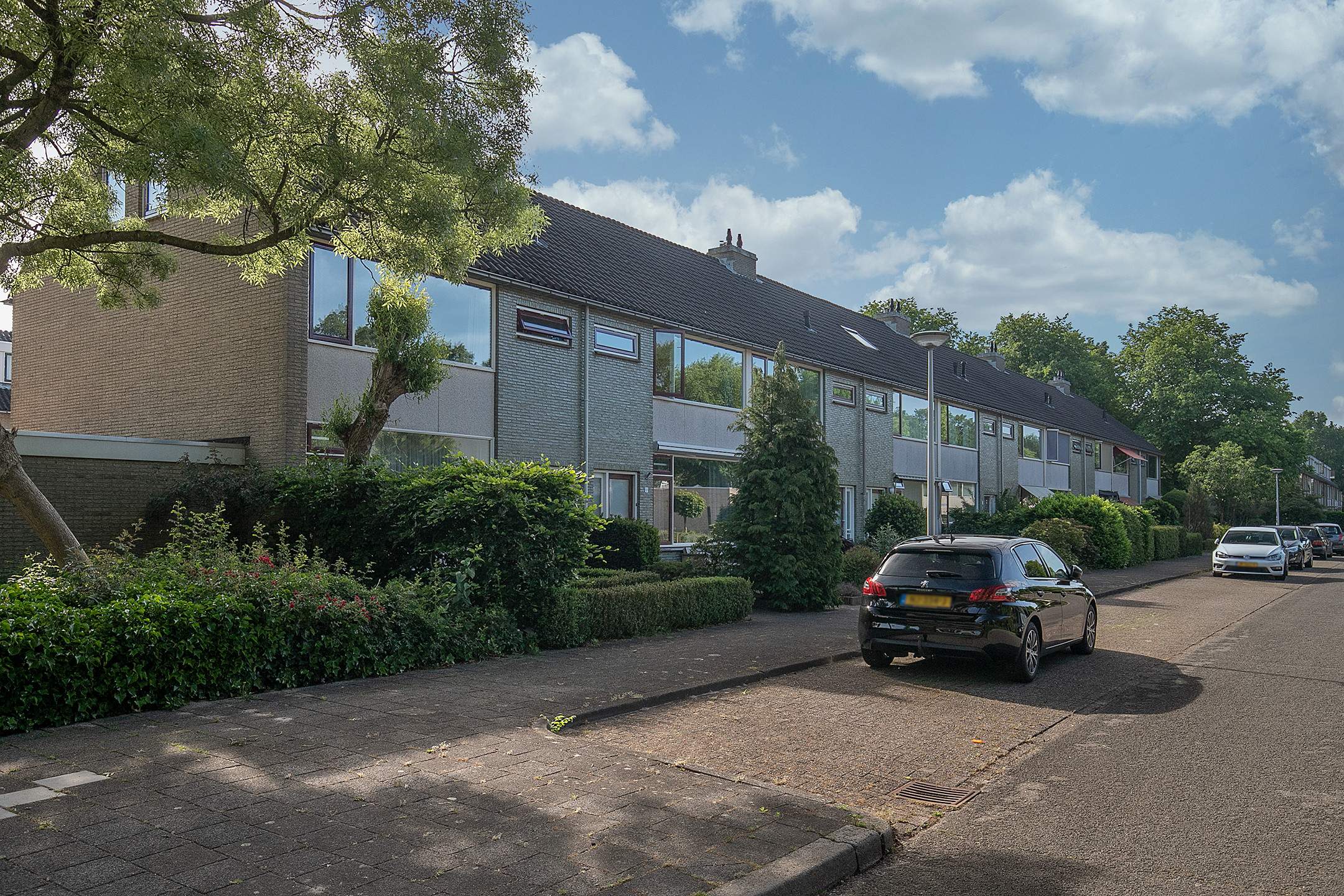 Afbeelding 1 van 24