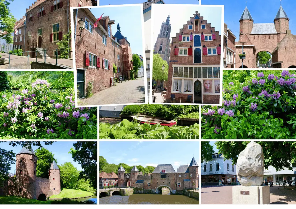 Afbeelding 24 van 24