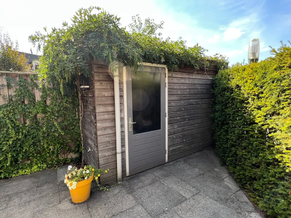 Image 24 of 30