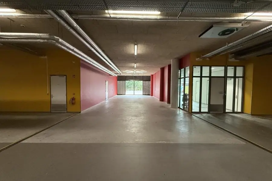 Image 3 of 20
