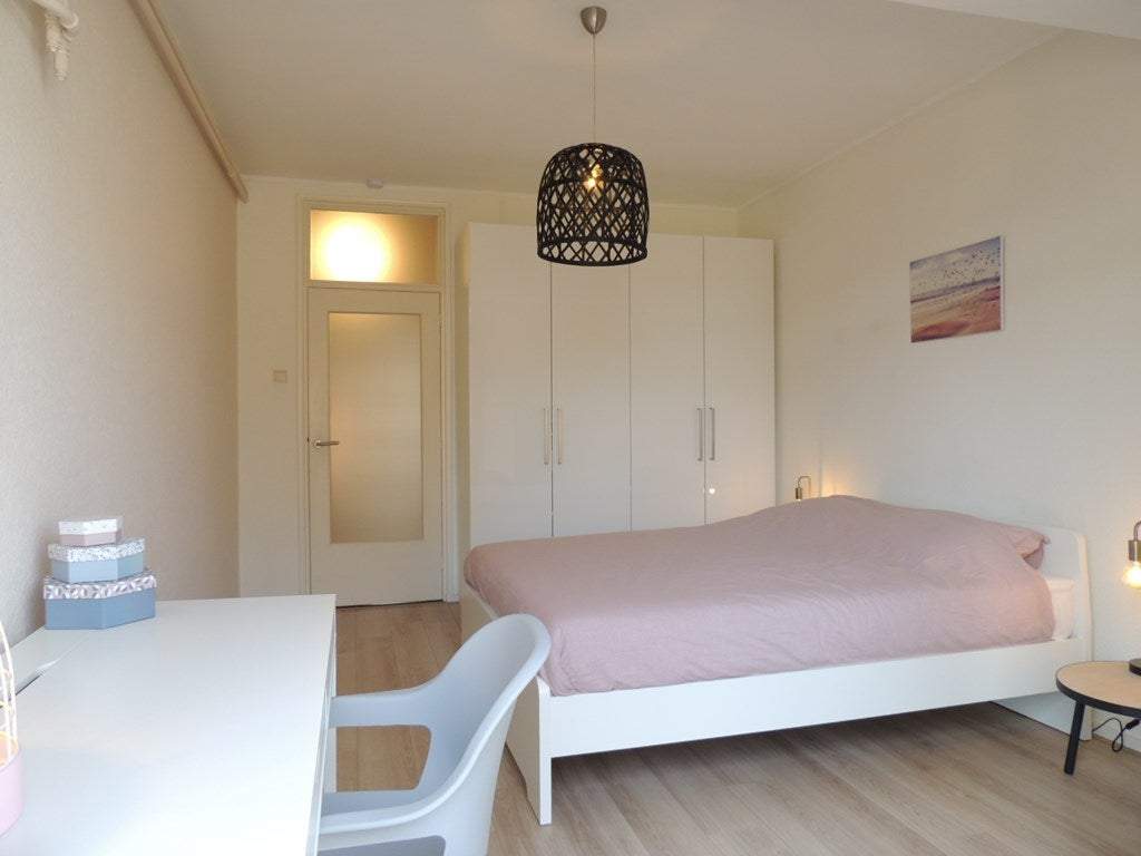 Bild 4 von 16