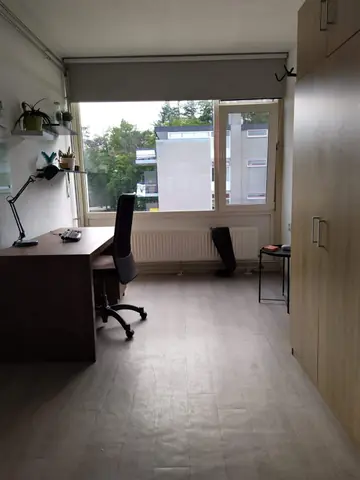 Habitación Calslaan, Enschede - En alquiler