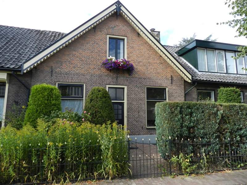 Afbeelding 1 van 17