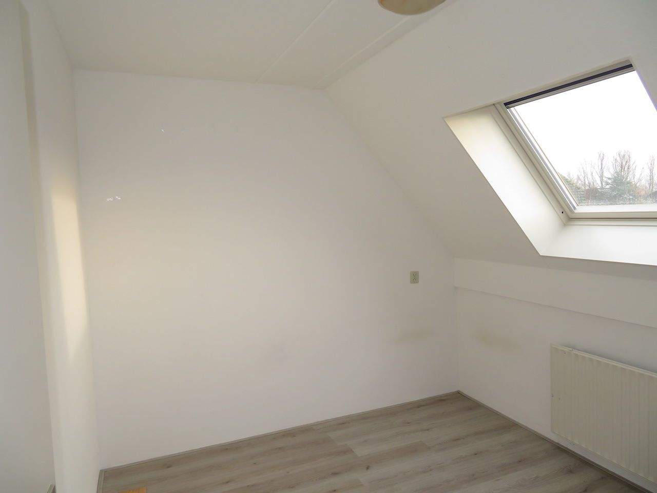 Bild 6 von 16