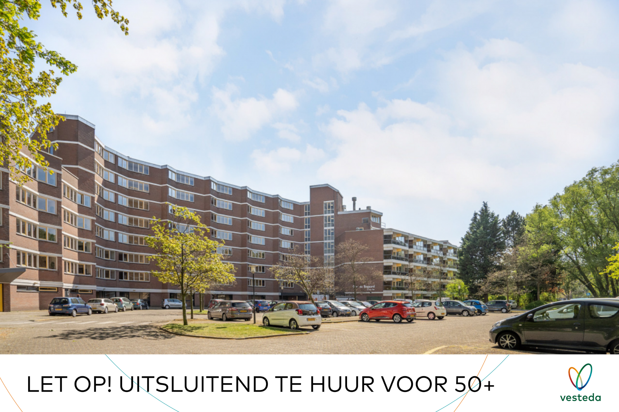 Afbeelding 2 van 2