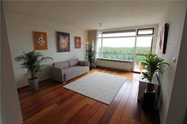 Imagen 5 de 12