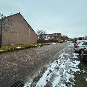 Afbeelding 6 van 6