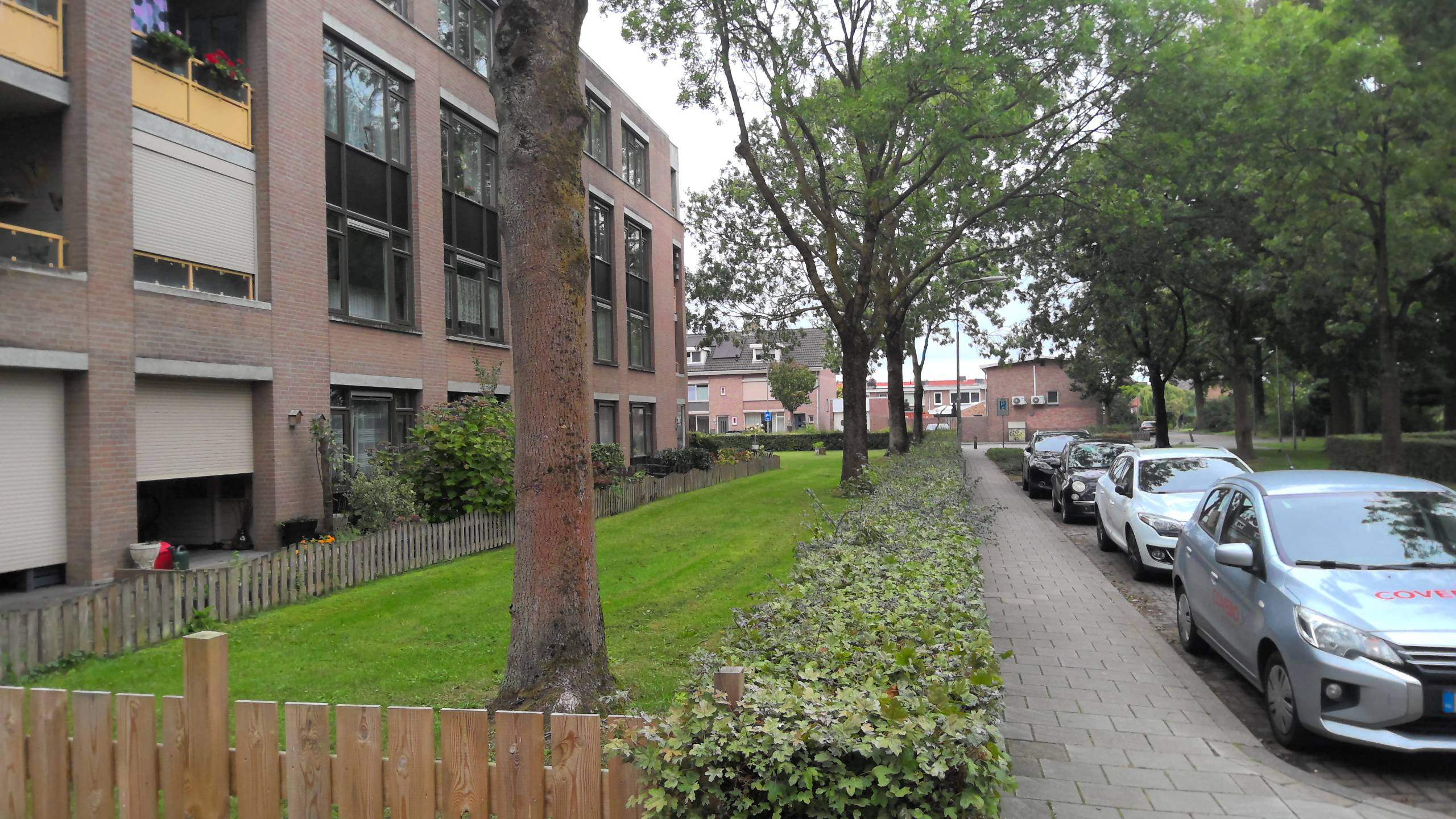 Bild 3 von 7