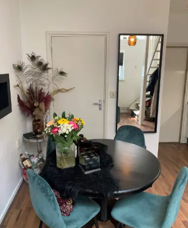 Studio Apartment Wilhelminapark, Tilburg - For Rent