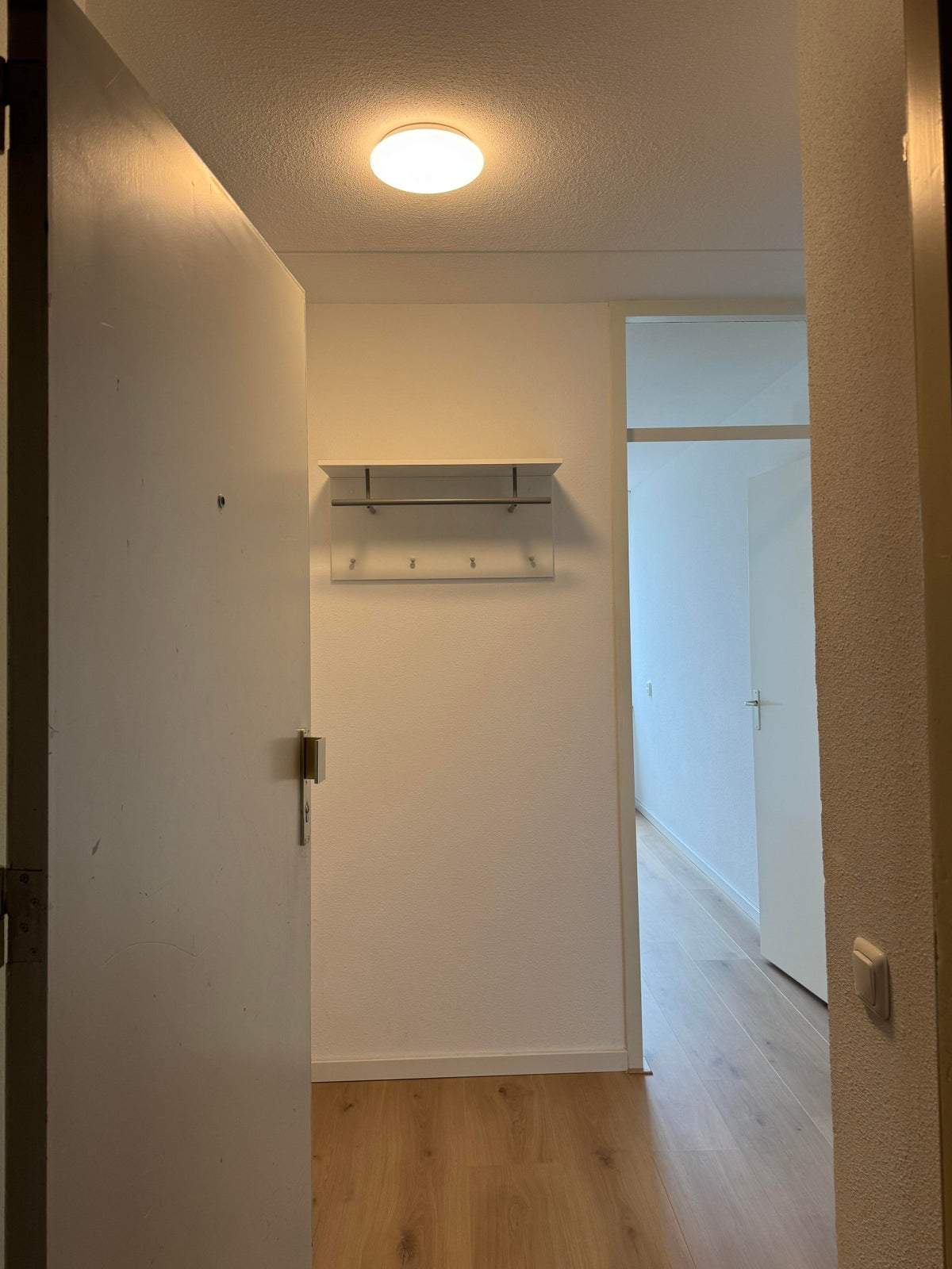 Image 2 of 7