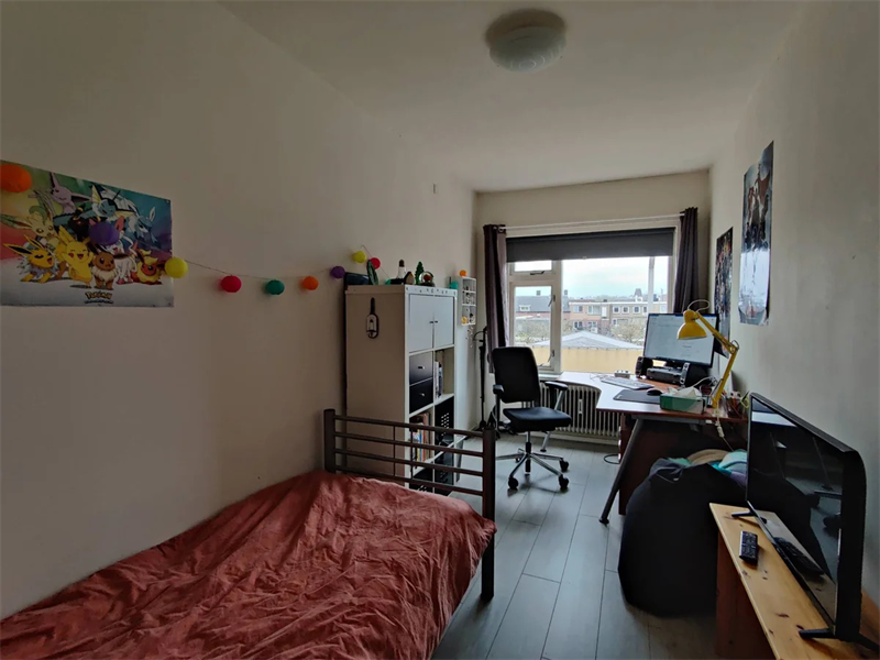 Image 7 of 7