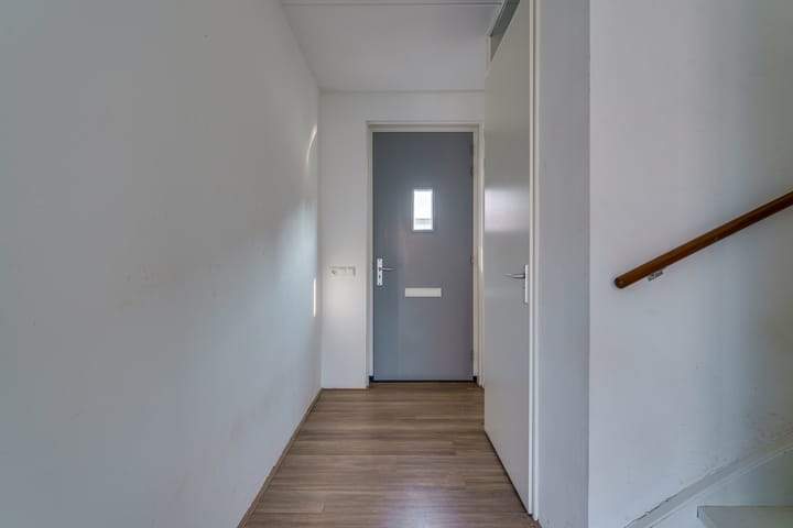 Bild 3 von 37