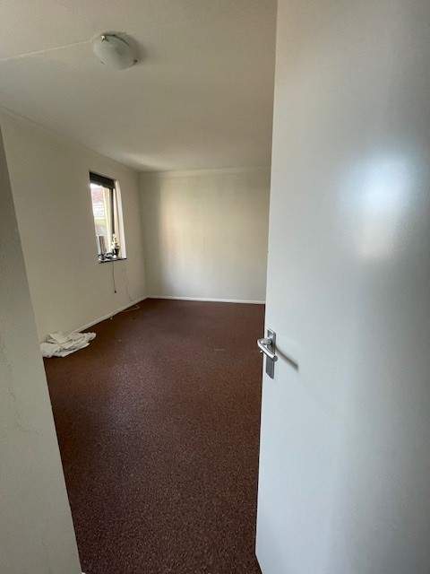 Bild 3 von 8