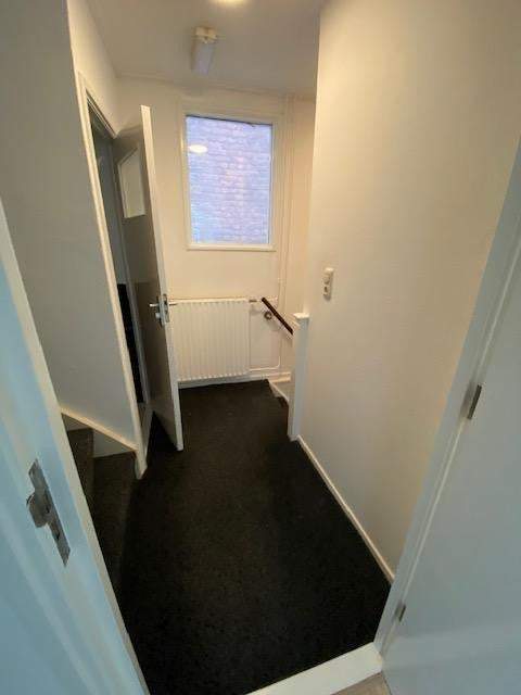 Bild 3 von 19