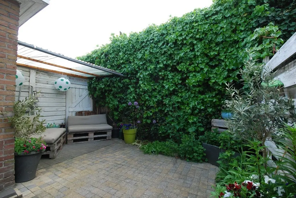 Image 13 of 21