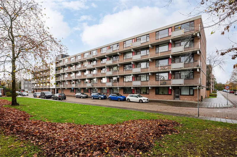 Image 25 of 25
