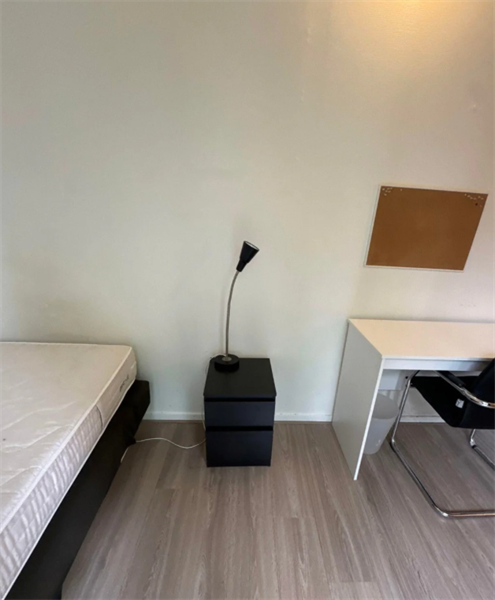 Image 2 of 12