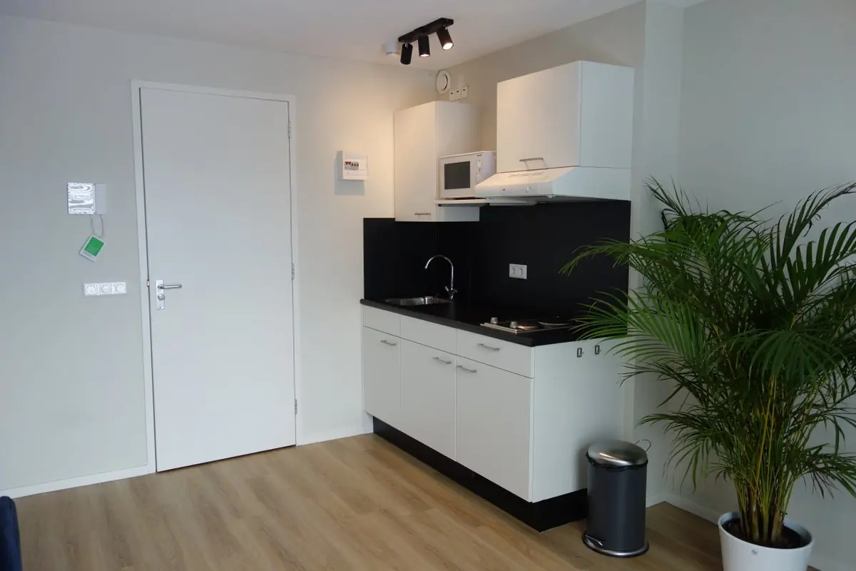 Image 11 of 11