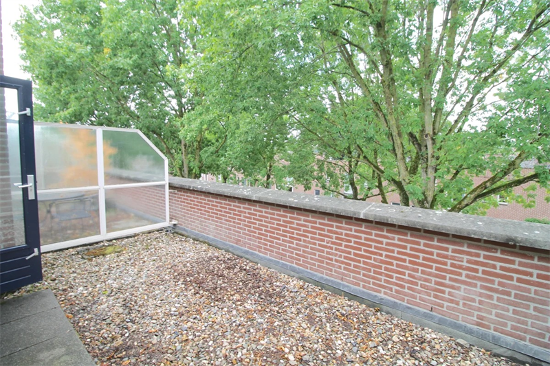 Image 20 of 27