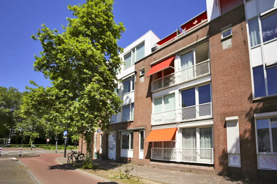Afbeelding 1 van 6