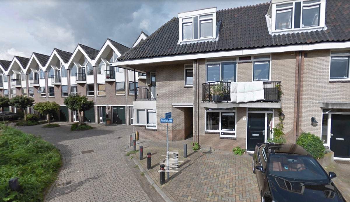 Afbeelding 1 van 17