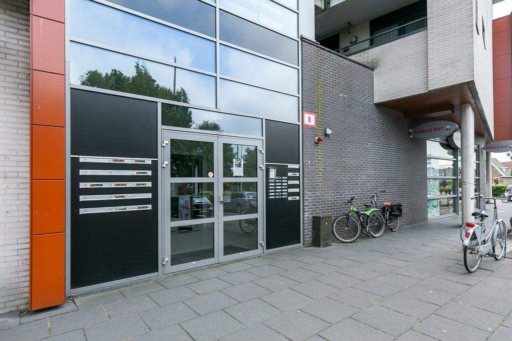 Afbeelding 2 van 12