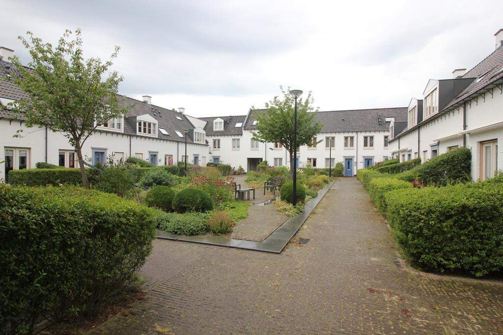 Afbeelding 2 van 16