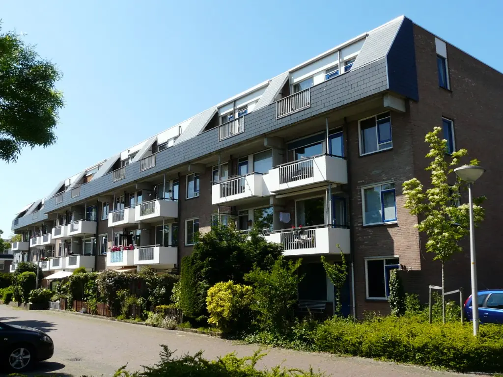 Afbeelding 1 van 1