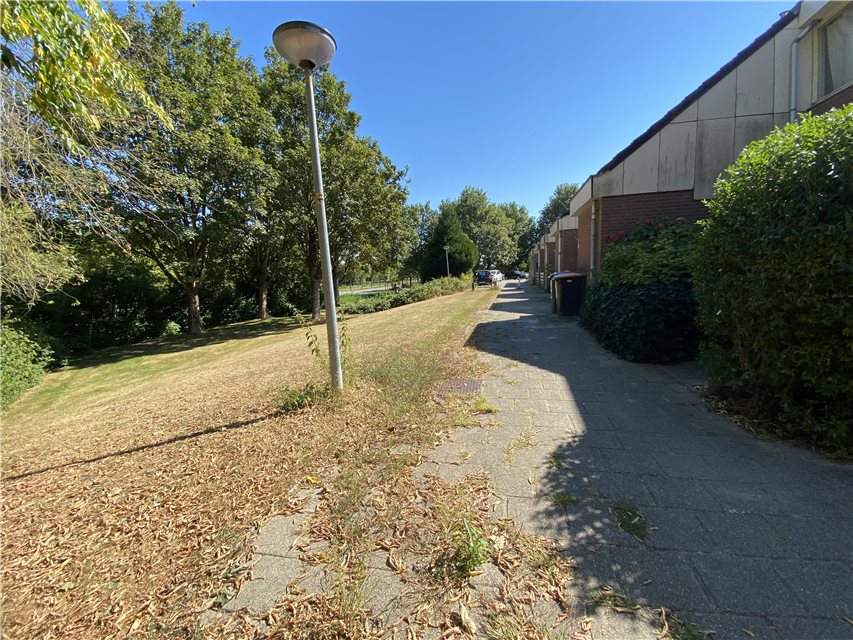 Image 7 of 7