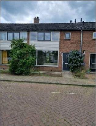 Afbeelding 1 van 13