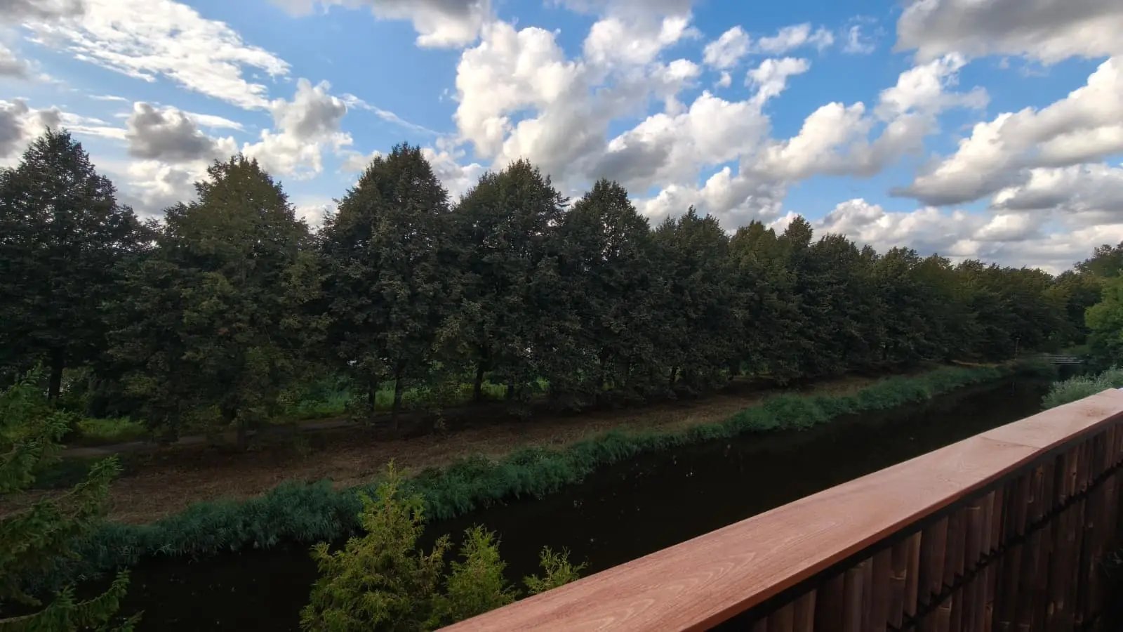 Image 7 of 9