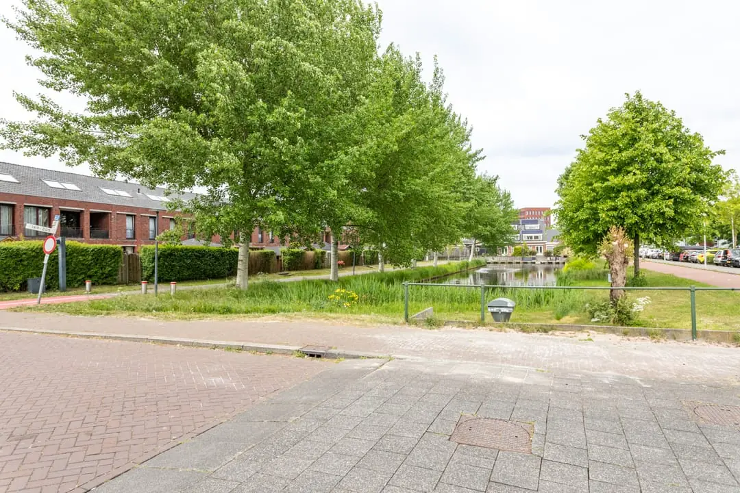 Image 58 of 60