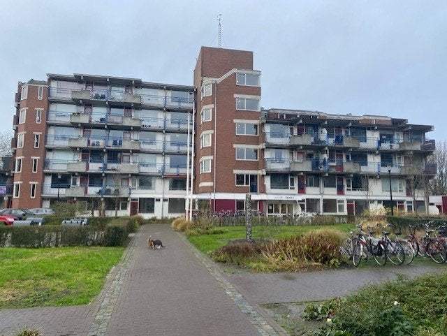 Bild 1 von 9