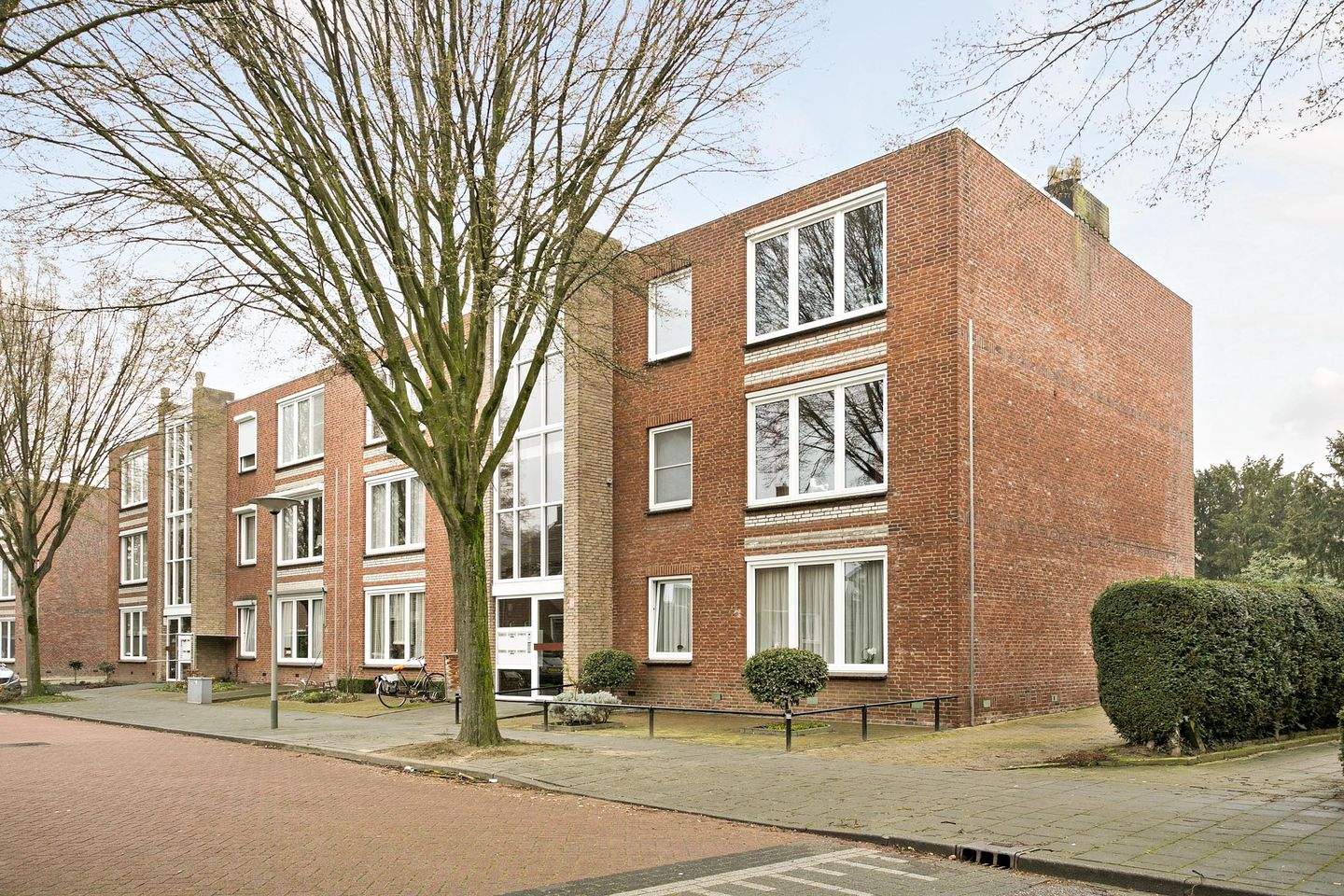 Afbeelding 1 van 12