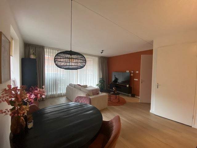 Bild 2 von 12