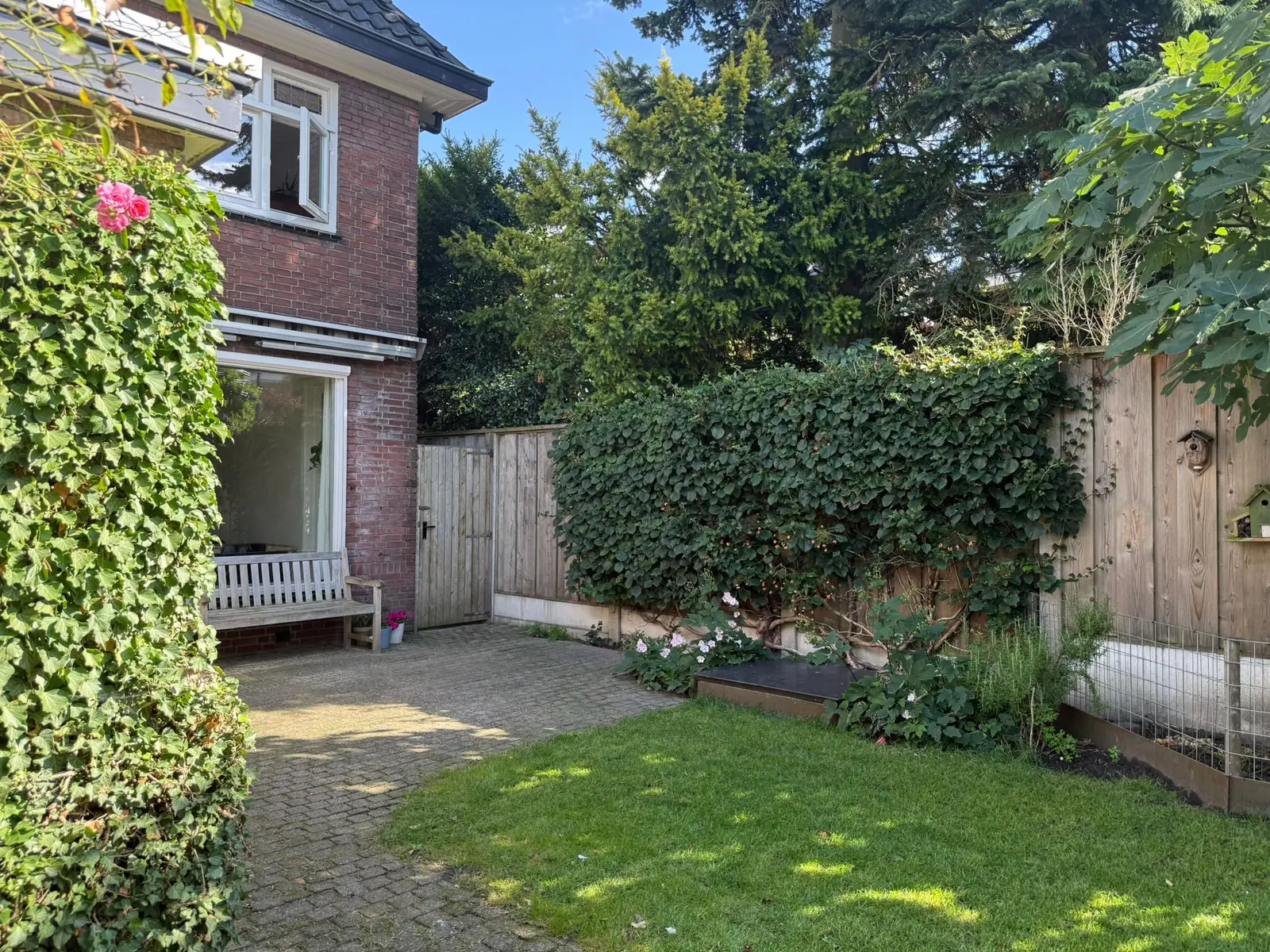 Image 27 of 28