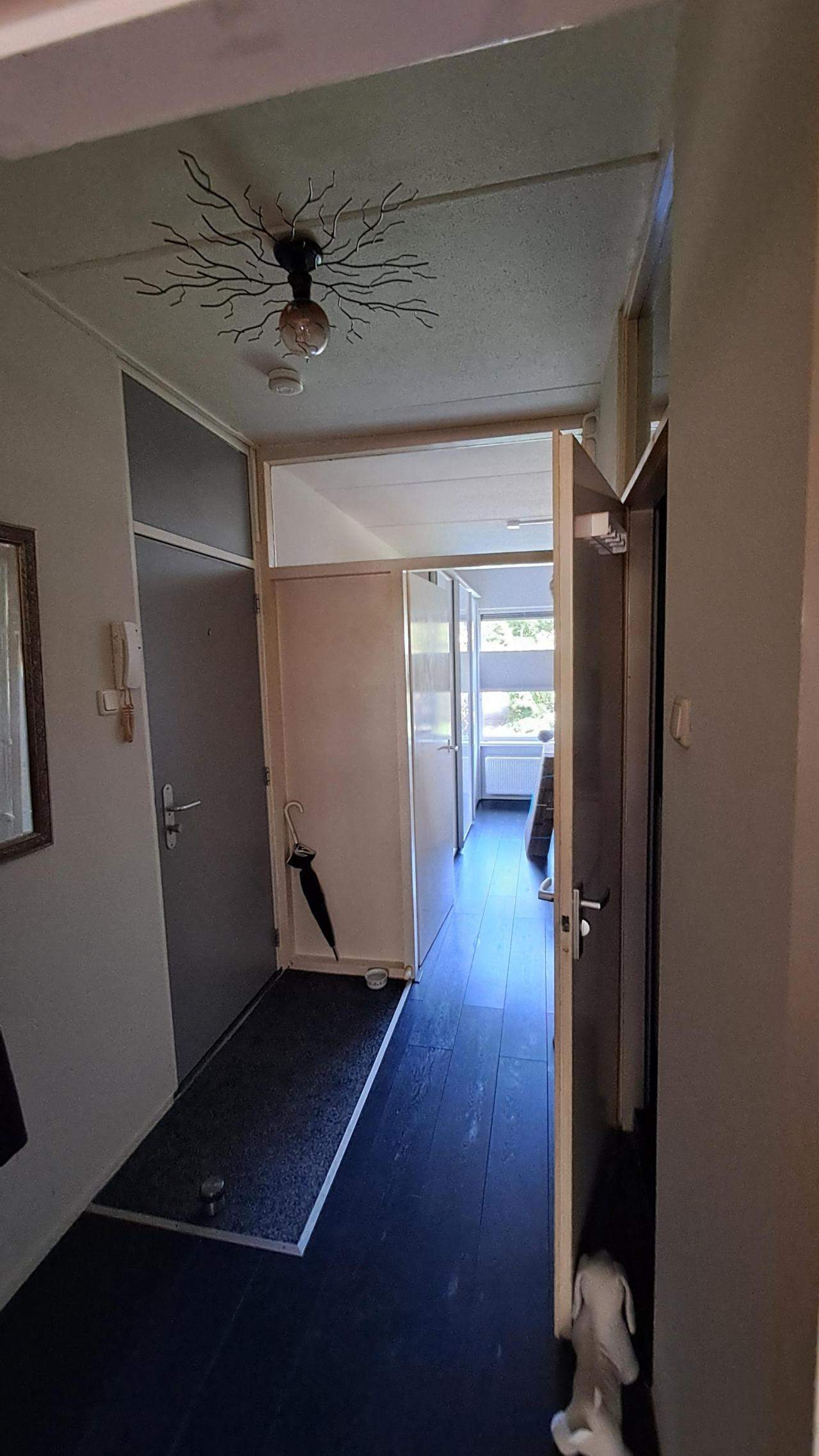 Image 2 of 9