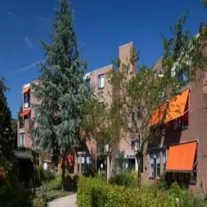 Image 2 of 16