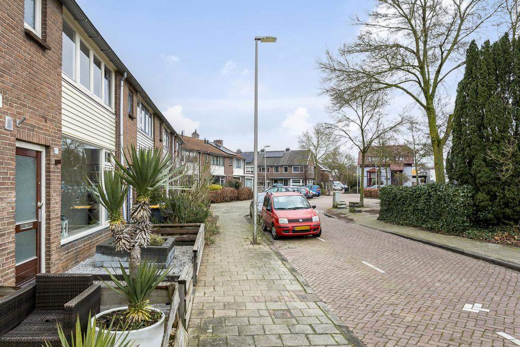 Afbeelding 23 van 31
