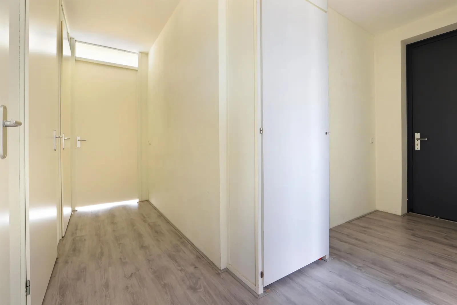 Afbeelding 3 van 17