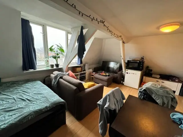 Image 5 sur 8
