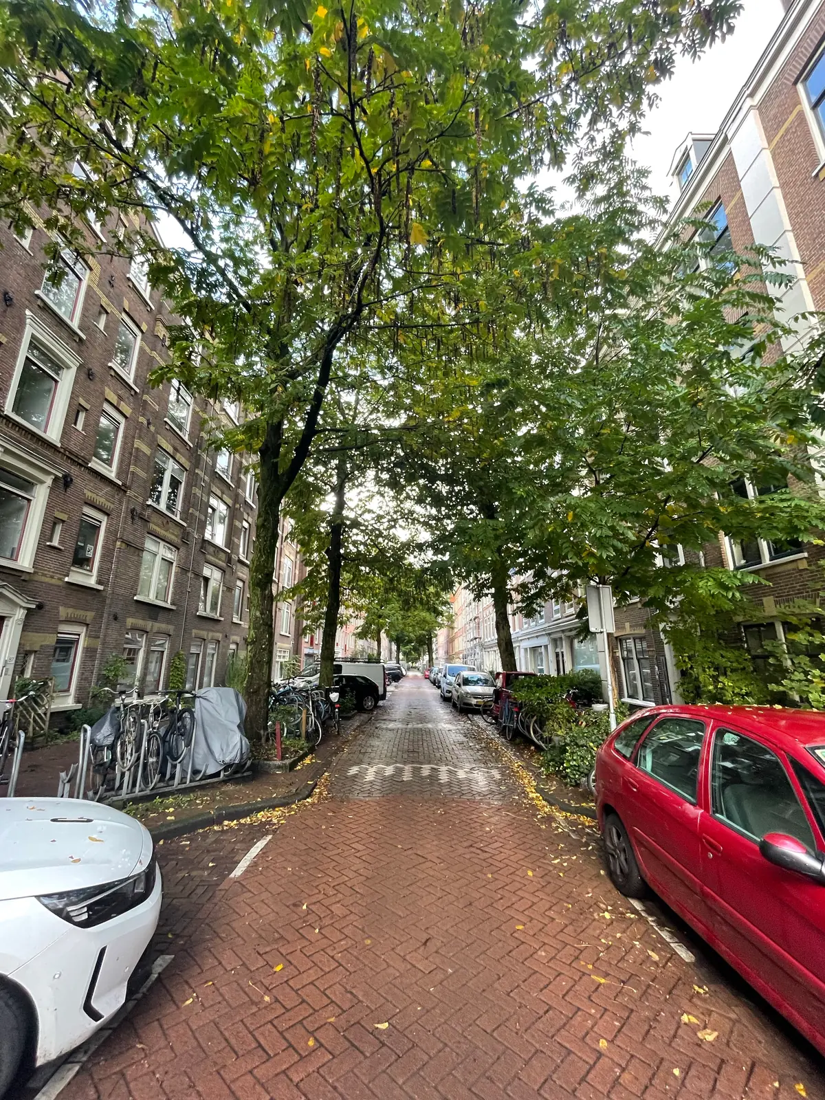 Image 2 of 19