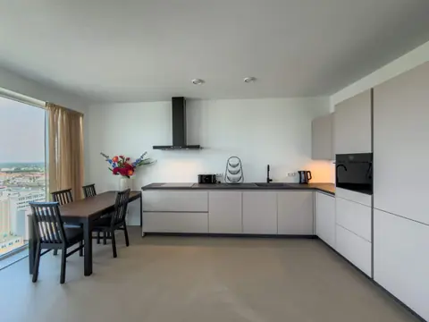 Appartement Penthouse Meublé Saturnusstraat, La Haye Binckhorst - À Louer