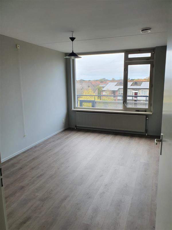 Image 12 of 27