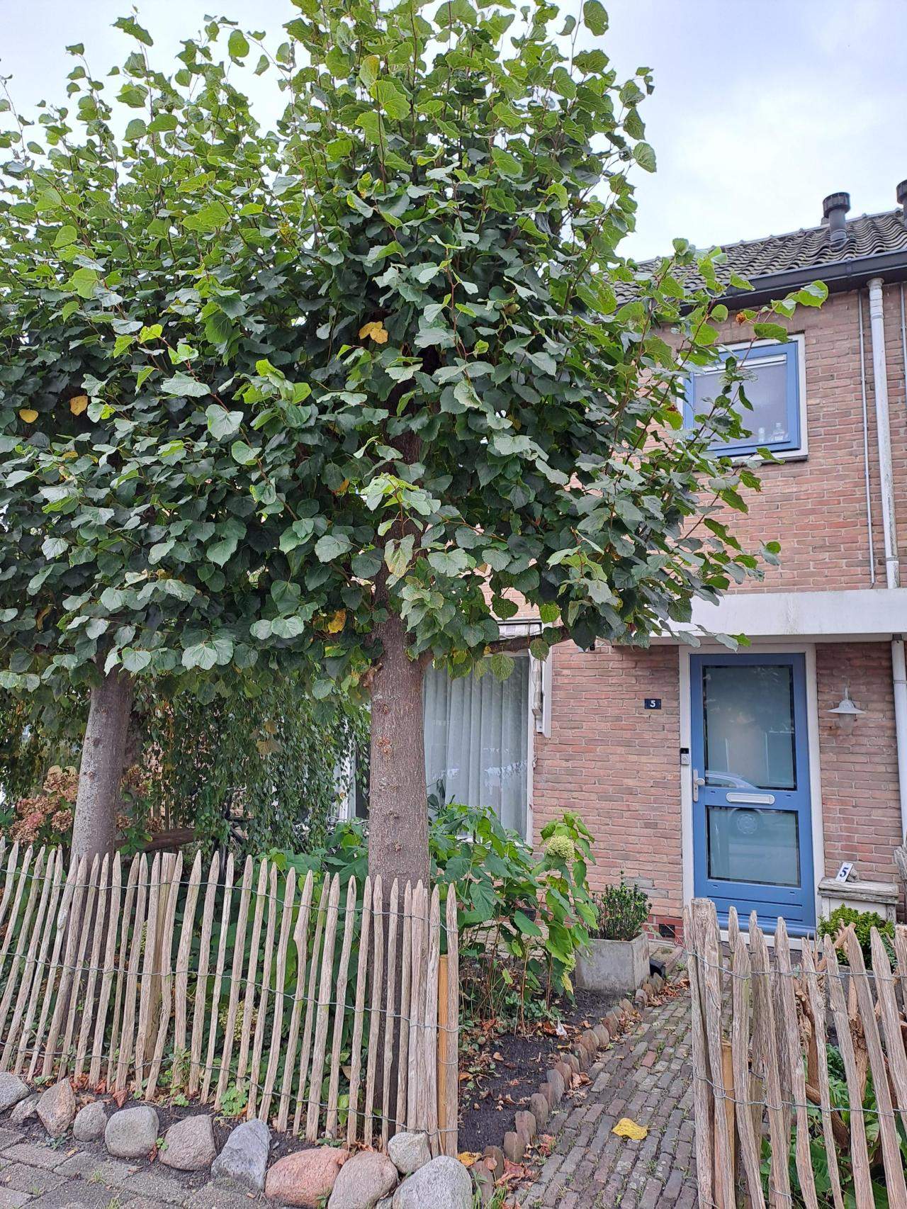 Afbeelding 1 van 20