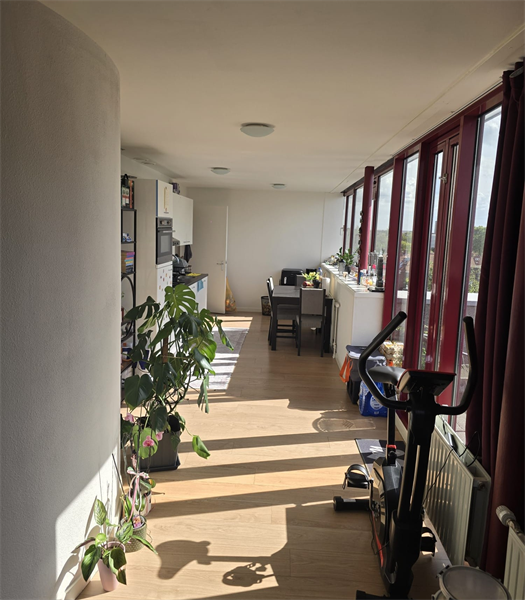 Image 3 of 7