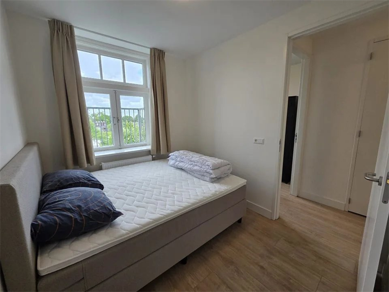 Image 10 of 11