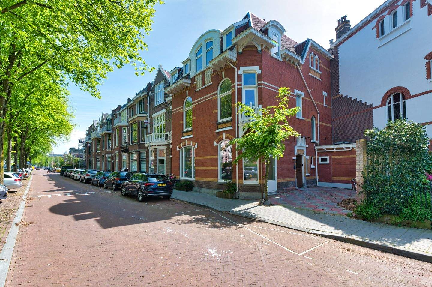Afbeelding 1 van 12